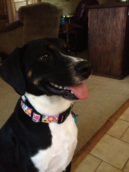 Molly
